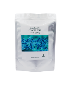 Bacillus Coagulans